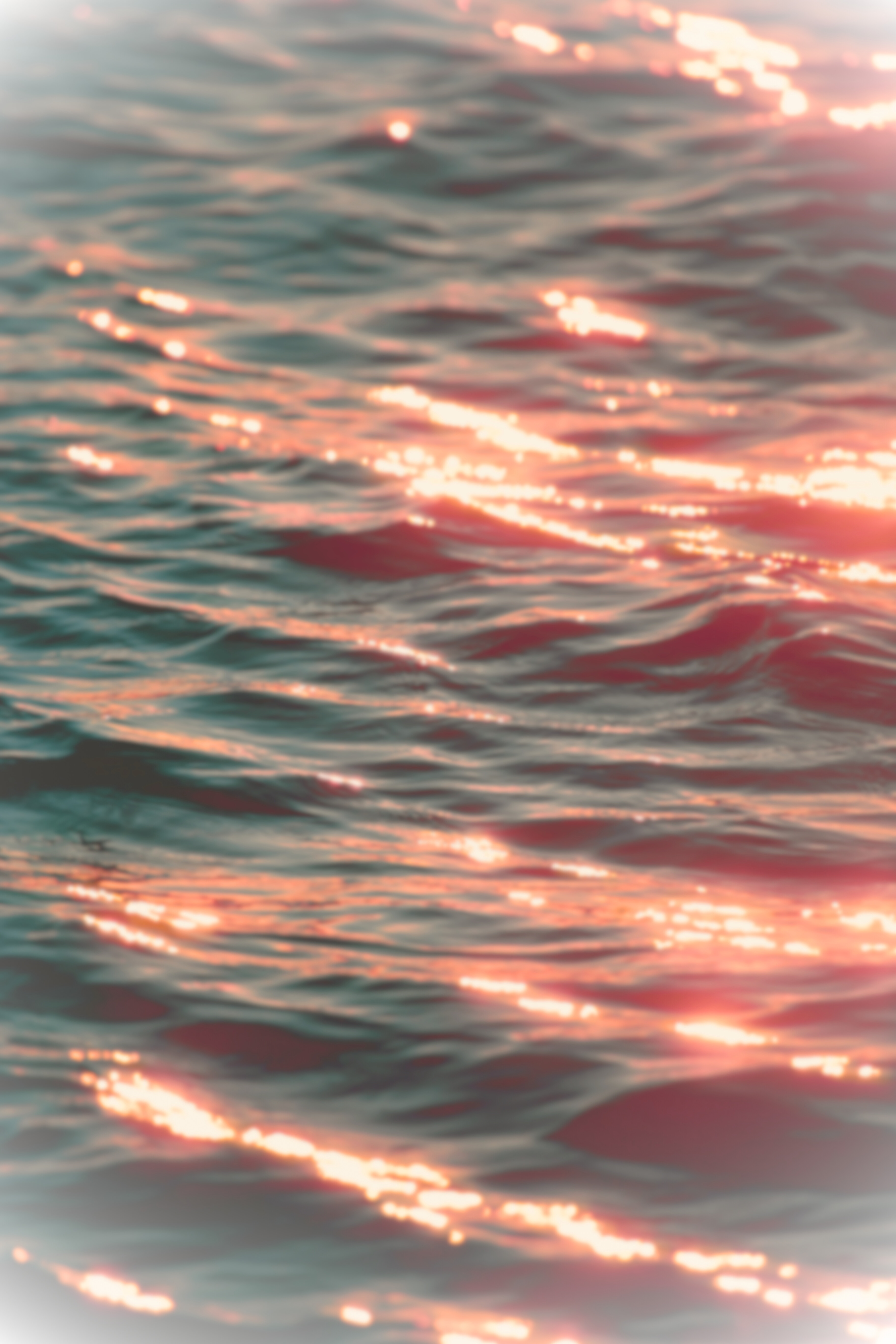 SCENTRY Staple background